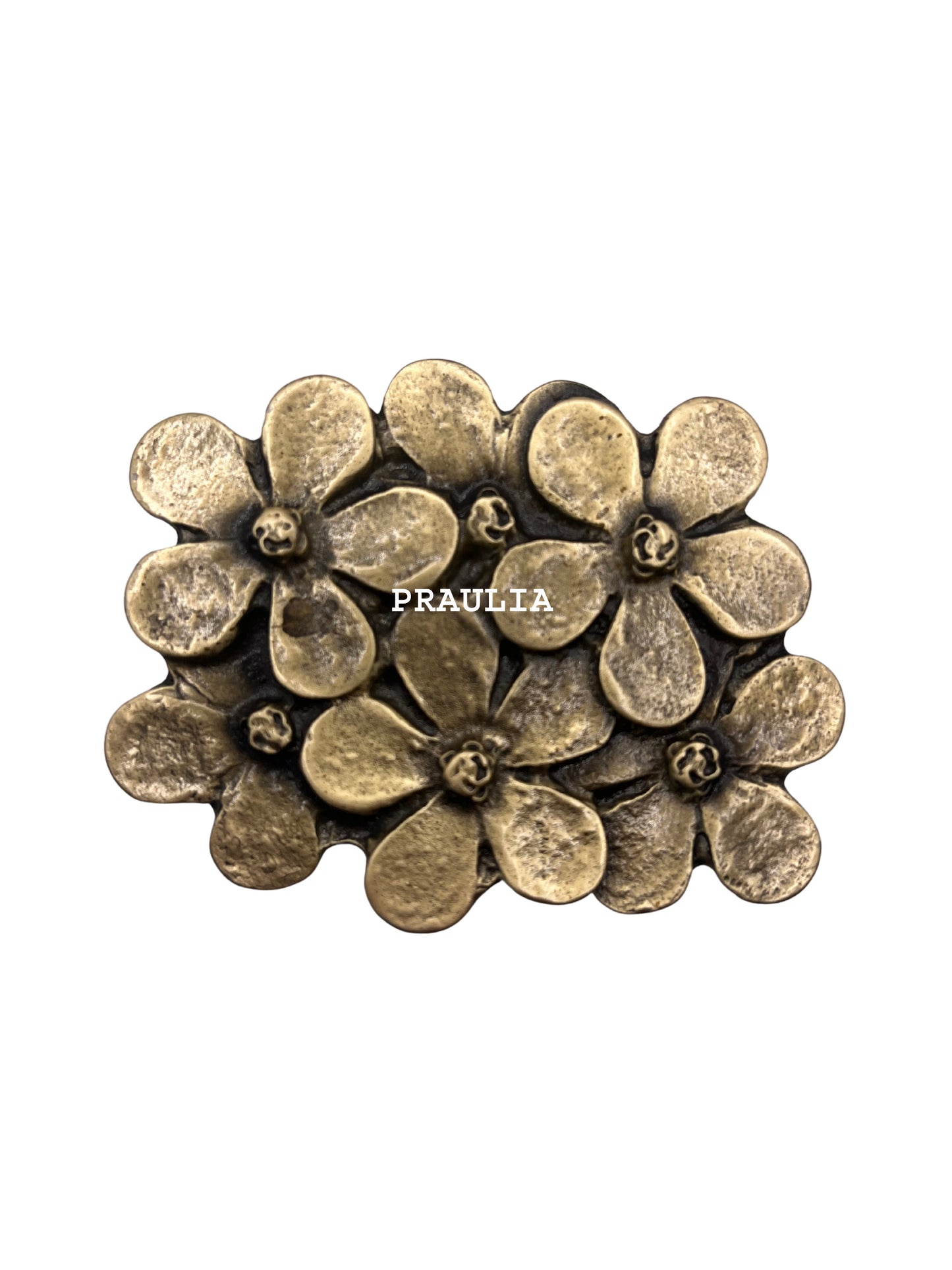 Hebilla Jardín Secreto Bronce